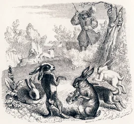 The Rabbits - Fables by La Fontaine