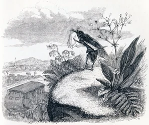 The Tick and the Fly - Fables by La Fontaine