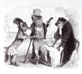 The Wolf Pleading Against the Fox in Front of the Monkey