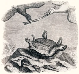 The Turtle and the Two Ducks - Fables by La Fontaine