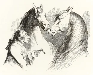 Gulliver Converses with Talking Horses in Houyhnhnms Land, from Gulliver