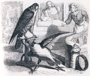 The Falcon and the Capon