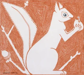 Squirrel
