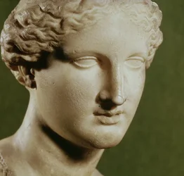 Head of Artemis