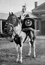 The Drum Horse of the 17th Lancers
