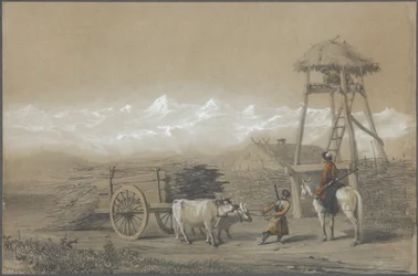 The Cossacks