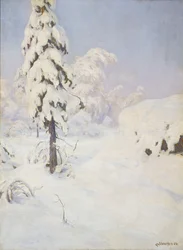 Winter in the Forest