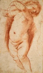 A Putto