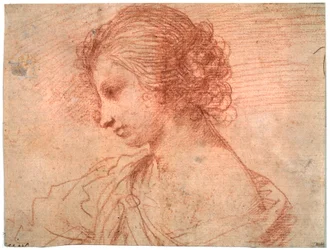 Breast Portrait of a Young Female