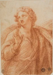 Half-length Draped Figure