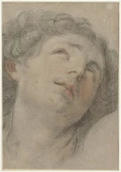 Head of Saint Sebastian, Looking Upwards