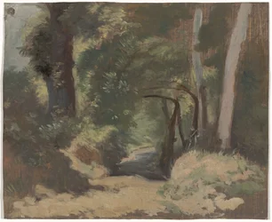 Forest Path