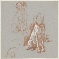 Two Studies of a Sitting Dog
