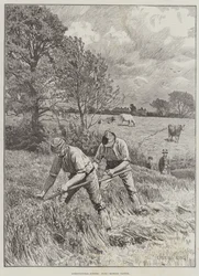 Agricultural Scenes, June, mowing Clover