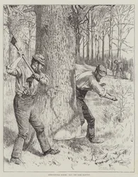 Agricultural Scenes, May, the Bark Harvest
