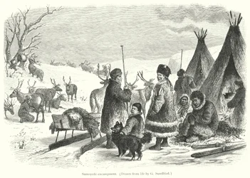 Samoyede encampment