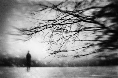 Solitary Figure Winter Mist