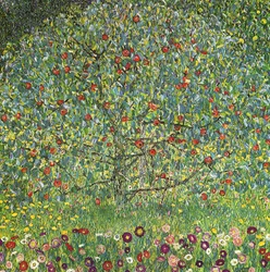 Apple Tree I