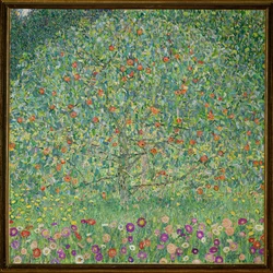 Apple Tree I