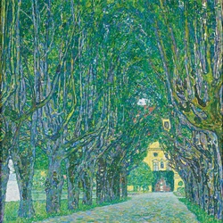 Avenue of Schloss Kammer Park