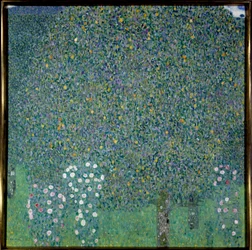 Rosebushes under the Trees