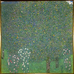 Roses Under the Trees