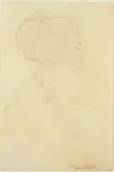 Study for 