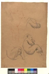 Four Studies of Children