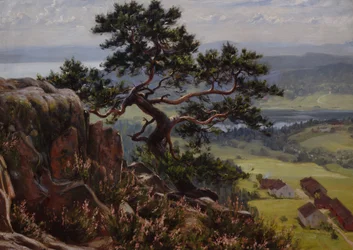 View over Vardåsen