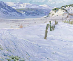 Winter landscape