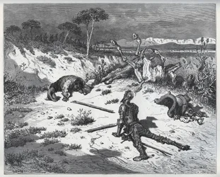 Don Quixote