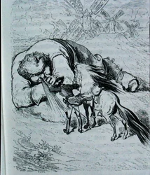 Illustration for 