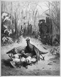 The Lark and Her Young Ones With The Owner Of A Field - from 