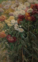 Chrysanthemums in the Garden at Petit-Gennevilliers, 1893
