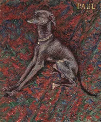 The Dog 