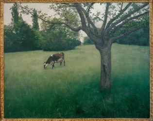 Prairie at Yerres