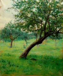 Orchard, Also Called Orchard in Normandy