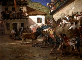 Bulls in Lezo