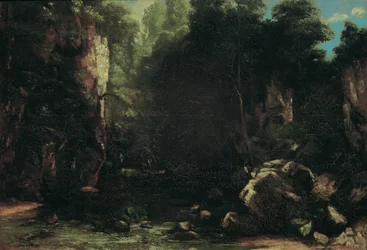 The Shady Stream