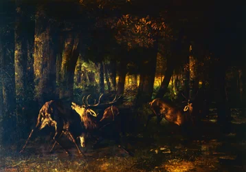 Spring Rut, Battle of Stags