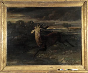The Deer Has Water (Hunting a Run) Says the Deer Force
