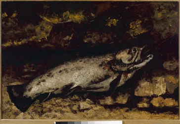 The Trout