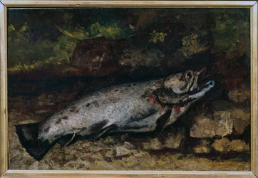 The trout. Still life of fish