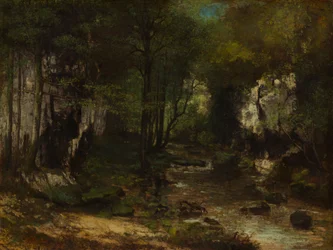 Unknown Image