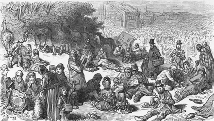 A Sketch on the Downs