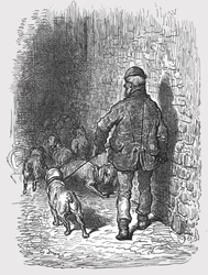 Bull Dogs, 1872