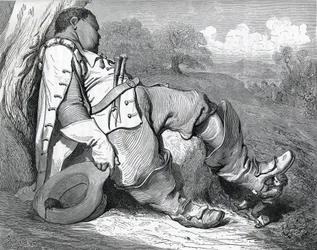 Illustration for 