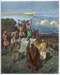 Return from the land of Canaan - Joshua and Caleb return with a huge bunch of grapes from the land of Canaan, the Promised Land - engraving in “La Bible illustrée” by Gustave Doré (1832-1883) - engraving from “The Doré Bible”