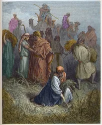Ruth and Boaz - Ruth working in the fields of Boaz (engraving in The Bible illustrated by Gustave Dore)