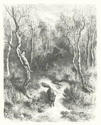 The Fables of La Fontaine: The Cat and the Fox